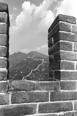 the wall 1